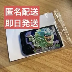 ポケモン　フレンダ　オーガポン　未新品未使用　未開封