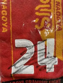 2025年最新】名古屋グランパス 本田の人気アイテム - メルカリ