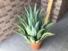 マルク様 リクエスト 4点 まとめ商品