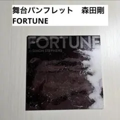 舞台　パンフレット　FORTUNE　森田剛　吉岡里帆のサムネイル