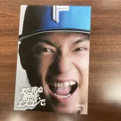 「まだ見ぬ景色を、エスコンで。」限定ステッカー第2弾！伊藤大海投手