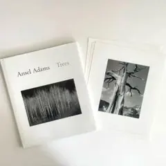 Item thumbnail for item 6a050023-8f4e-4f71-8395-ea3dd8af6897