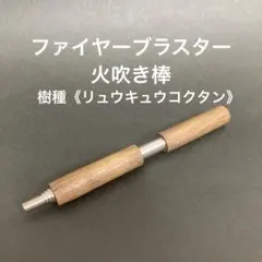 Item thumbnail for item bb8f5616-d5c3-4843-afbd-90081936ef96