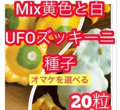 NaKaSaN様 リクエスト 2点 まとめ商品