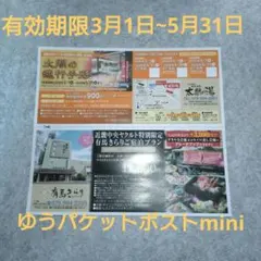 有馬温泉太閤の湯 通行手形