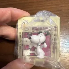 PEANUTS パッケージ ミニチュア コレクション スヌーピー フィギュア♡