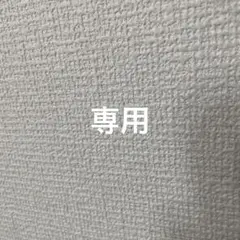 Item thumbnail for item 8cf46d8c-303c-4649-b5f6-52f35b07b96d