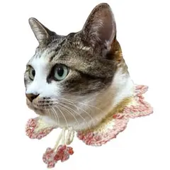 つけ襟 犬猫用 桜色【期間限定】