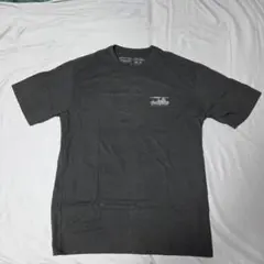 パタゴニア メンズ・'73 スカイライン・オーガニック・Tシャツ