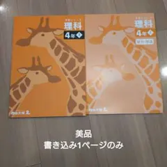 2026年最新】四谷大塚 予習シリーズ 4年 理科の人気アイテム - メルカリ