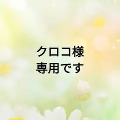 【クロコ様専用です】天然わらび