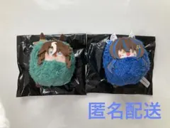 ウマ娘　くるみたぴぬい　メジロパーマ&ダイタクヘリオスセット