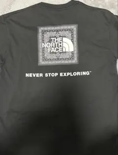 THE NORTH FACE バンダナ柄 Tシャツ ブラックのサムネイル