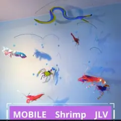 エビ　ホワイトソックスシュリンプ　バイオレットボクサー　モンハナシャコ　モビール