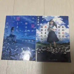 あの花が咲く丘で、君とまた出会えたら。 あの星が降る丘で、君とまた出会いたい。