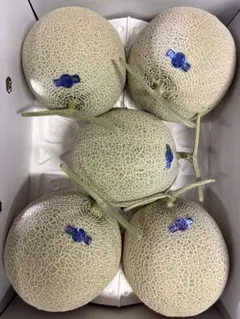 53訳あり 富良野産赤肉メロン 8kg箱 6玉入り - メルカリ