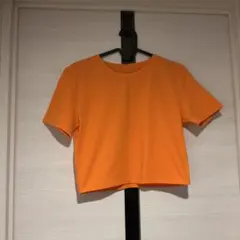 ZARATシャツ