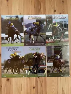 ⭐︎わっこさん専用⭐︎競馬 クリアファイル 60th anniversary