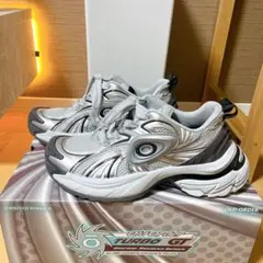 (43) OLD ORDER TURBO GT / WHITE-SILVER