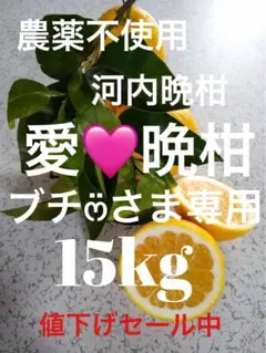 農薬不使用河内晩柑！「愛♡晩柑」木成りみかん15キロ愛南町農園直送！のサムネイル