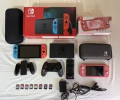 Nintendo Switch & Lite セット（カセット付き）