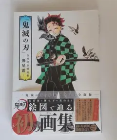 鬼滅の刃　吾峠呼世晴 画集 −幾星霜−