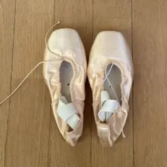 グリシコ　プロフレックス　2007 4 1/2 H xxxx