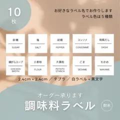 調味料ラベル10枚(白)　2.4cm正方形　中央線　耐水　テプラ　モノラベのサムネイル