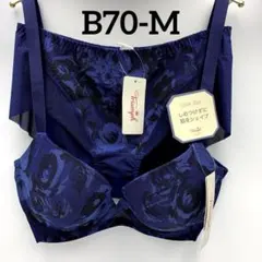 B70/M ブラとショーツセット
