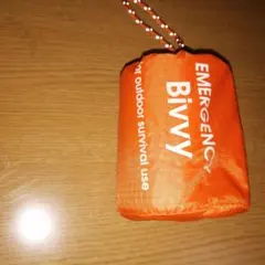 Item thumbnail for item 4f134cba-ff91-4184-9aba-9da6c0c89f07