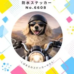 Item thumbnail for item e520efec-d34f-48fe-bfb4-ffbfe6164580