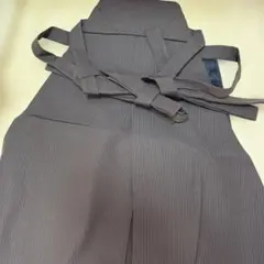 Item thumbnail for item 59e016c9-0319-4232-b8ec-768627d17164