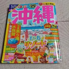 Item thumbnail for item 1e6aa035-1ae5-49bf-a3ac-6c8edd0d0c0c