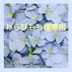 わらびもち様専用