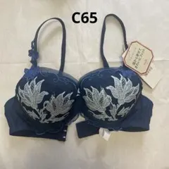 トリンプ　プレミアム　レッドレーベル　ブラジャー　C65