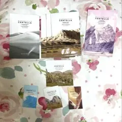 Item thumbnail for item eabfc1cc-f8c6-40f5-8614-3fa661398535