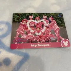 ミニーのファンダーランド　コレカ