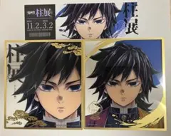 【柱展】冨岡義勇　クリア色紙２種　チケット風ランダムカード