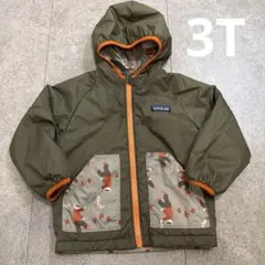 Patagonia リバーシブルパフボールジャケット