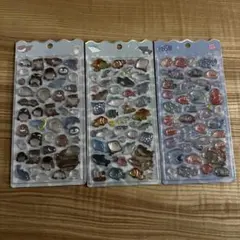 ボンボンドロップシール 水族館 限定 Q-LiA クーリア 3枚セット