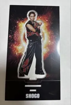 岩谷翔吾 THE REASON アクスタ