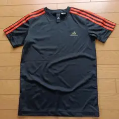 Item thumbnail for item 4a3a3c70-2ef6-480d-b814-89cc70a7781b