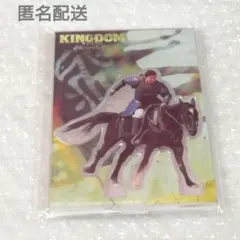 美品】ジャックジャンヌ 夏合宿 ロング布ポスター HMV オンリー