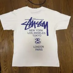 Stussy EXPOSE YOURSELF Tシャツ Sサイズ