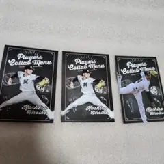 廣池康志郎 千葉ロッテマリーンズ トレカ 3枚セット
