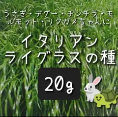 bu_karin様 リクエスト 2点 まとめ商品