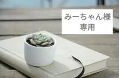 みーちゃん様　専用