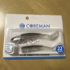 コアマン COREMAN VJ-22 サーフルアー シーバス マゴチ ヒラメ - メルカリ