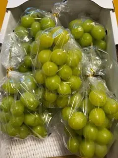 ２kg　訳あり　シャインマスカット ぶどう 果物　4のサムネイル