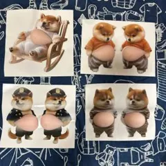 4枚セット(7個入り)柴犬 おなかプニプニシール 3Dシールステッカ　シール帳